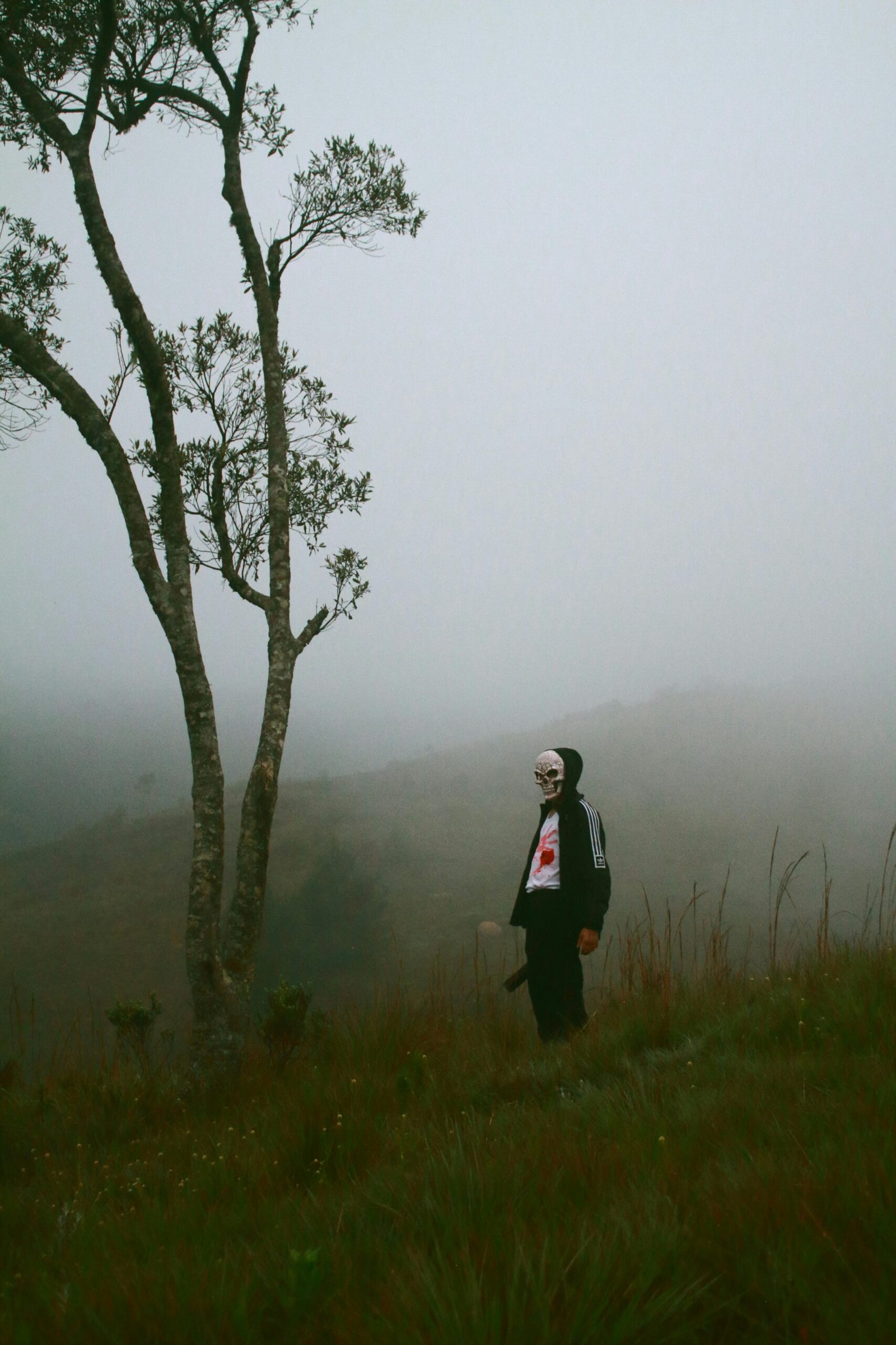 7 Terrifying Incidents That Will Give You Chills